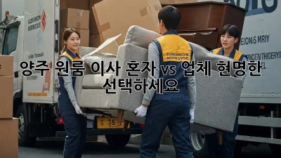 양주 원룸 이사, 혼자 vs 업체? 현명한 선택하세요!