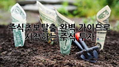 주식초보탈출🚀: 완벽 가이드로 시작하는 주식 투자💰