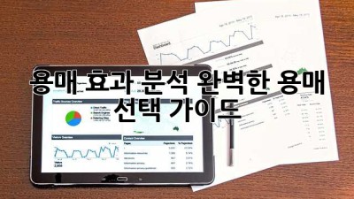 용매 효과 분석: 완벽한 용매 선택 가이드