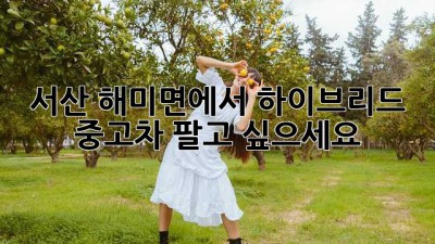 서산 해미면에서 하이브리드 중고차 팔고 싶으세요?